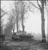 The_British_Army_in_North-west_Europe_1944-45_B14435.jpg