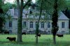 Chateau and cows near Sannerville-Heeb.jpg