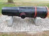 WA cannon6 (8) (Medium).JPG