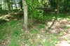 Dorset 2.jpg