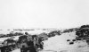 dunkirk beach and wall 1940.jpg