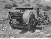 AWM 020648 bush artillery.JPG