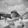 BU8353 Sgt George Laws, cine cameraman_photographer 5 AFPU (IWM).jpg