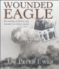 Wounded Eagle.JPG