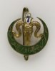 Insigne 7e Algerian Tir.Regt..jpg