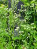 20210626_155726.jpg