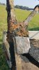 Corrosion Kopie.jpg