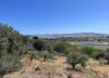IMG_2026.jpeg