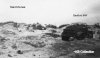 dunkirk bedford mw Dunes 42 inf div.jpg
