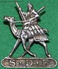 CO3840 Sudan Defence Force wm 35 x 40 screw.JPG