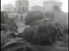 Rare D-Day Footage-01.42.jpg