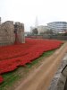 Tower of London Remembrance (15).JPG