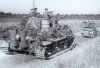 tiger1a.jpg