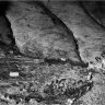 Cassino1944