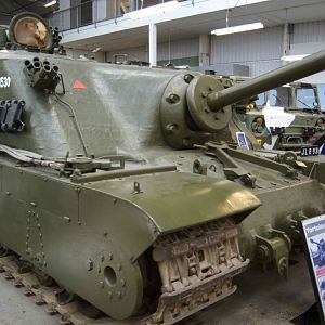 Tortoise-4.jpg