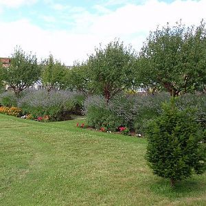 Memorial Garden
