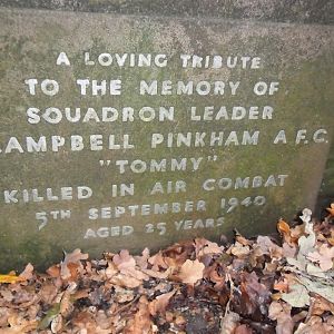 P.C.Pinkham  RAF (Large).JPG