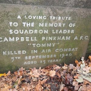 P.C.Pinkham  RAF1 (Large).JPG