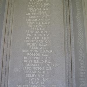 RM panel 6 middle (Large)