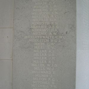 RM panel 89 middle.JPG