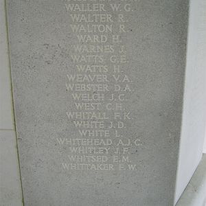 RM panel 139 bottom.JPG