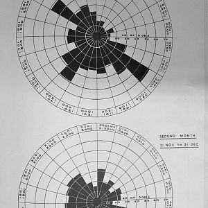 The Defence of Antwerp & Brussels