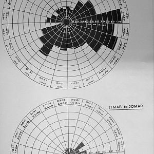 The Defence of Antwerp & Brussels