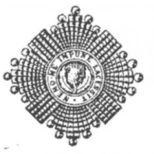 7.9RS Officers Badge.