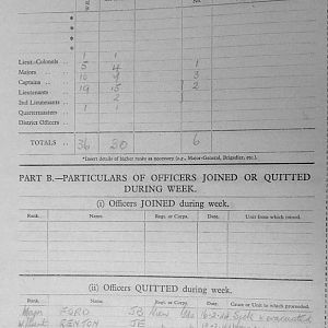 February War Diary, 6th Battalion, Grenadier Guards, Jan - Mar 1944