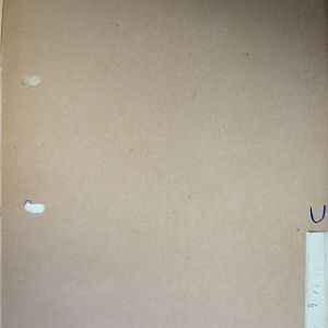 (T-Z) Who's Who of senior German Army officers (Birley's Bible)