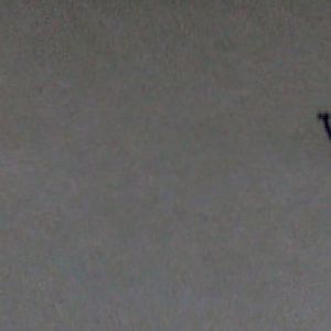 (T-Z) Who's Who of senior German Army officers (Birley's Bible)