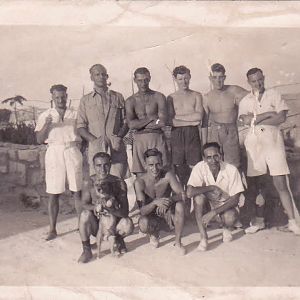 IMG 0031