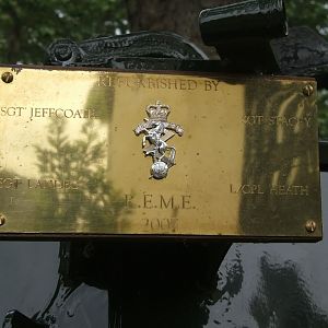 Plaque, Ferret