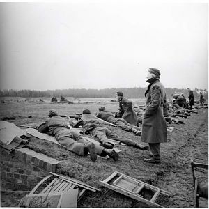 user27142 pic4387 1321565002