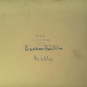 Back Of Colour Photograph