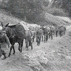7th/9th Royal Scots with an Indian Army Mule Team in the Cairngorms