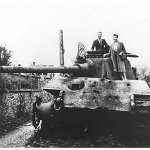 battered Tiger 2