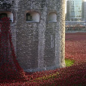The Tower