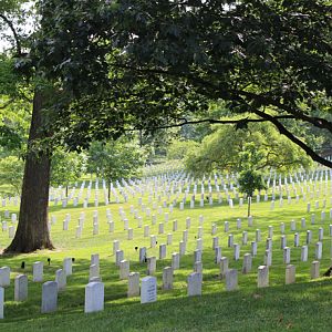 Arlington in the Shade!.