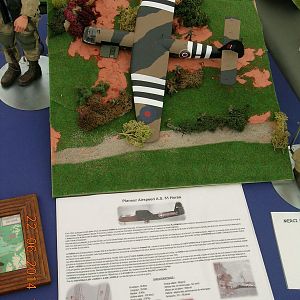 DSCN1342