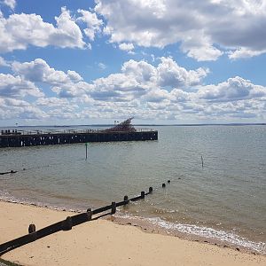 20170514_131951_resized_1