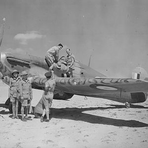 Hurricane SAAF 1941 Squiggly Camo,jpg