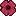 Poppy