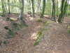 Trenches Reichswald.png