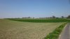 German front line east of Louisendorf a.jpg