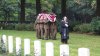 Oosterbeek War Cemetery 2a.jpg