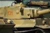 Tiger-131.jpg