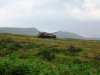 DSC00247.JPG