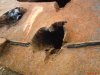 DSC00505.JPG
