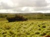 DSC00511.JPG